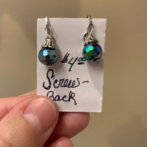 Pair of Metallic Rainbow Skeewback Earrings
